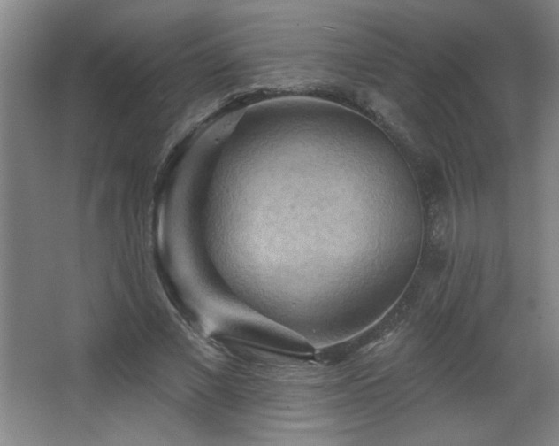 X0000068740685200604281140