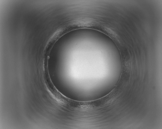 X0000068740686200604281140