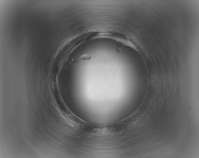 X0000068740688200604281140