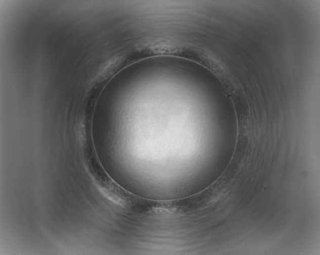 X0000068740690200604281140