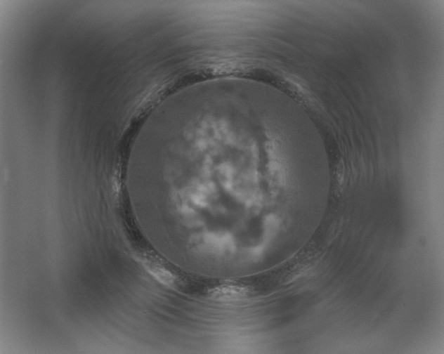 X0000068740691200604281140