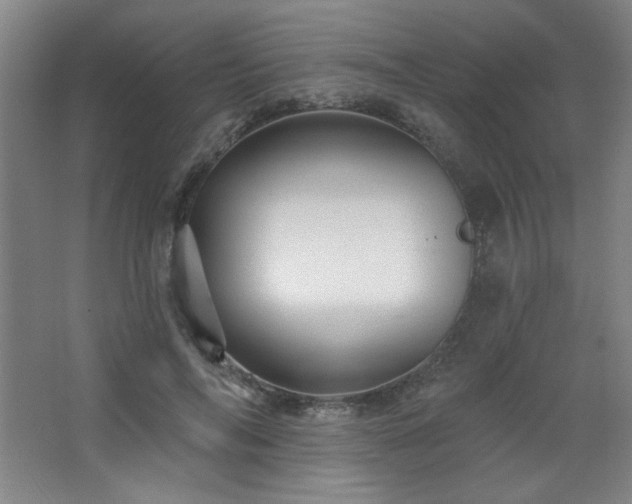 X0000068740694200604281140