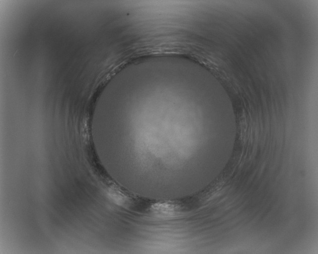 X0000068740699200604281140