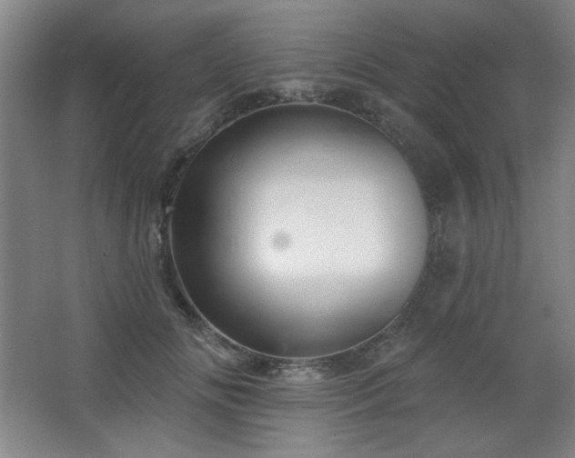 X0000068740702200604281140