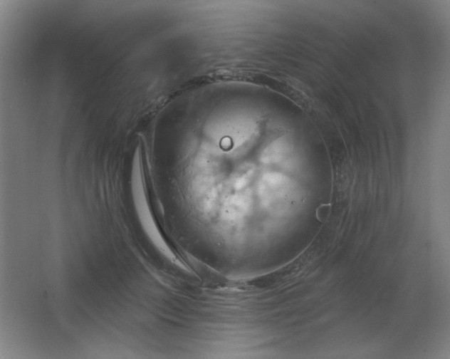 X0000068740703200604281140