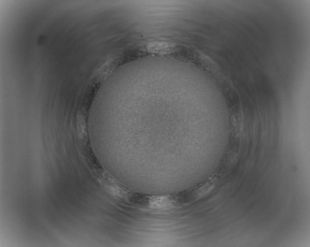 X0000068740705200604281140