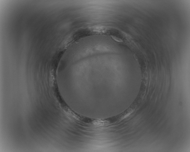 X0000068740707200604281140