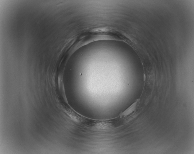 X0000068740708200604281140