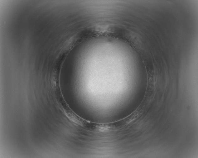 X0000068740710200604281140