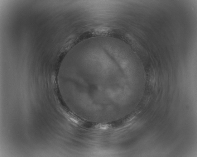 X0000068740711200604281139