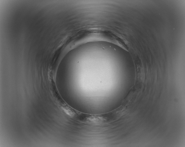 X0000068740712200604281139