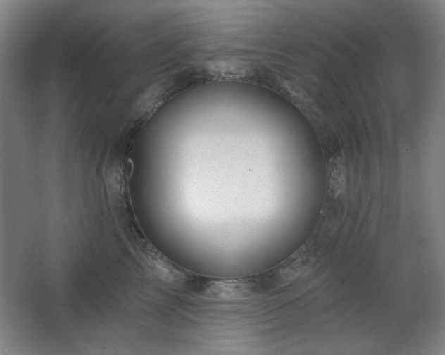 X0000068740713200604281139