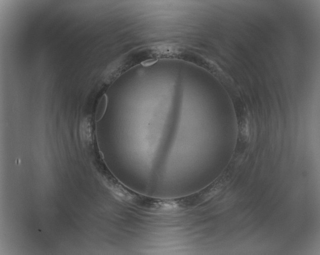 X0000068740715200604281139