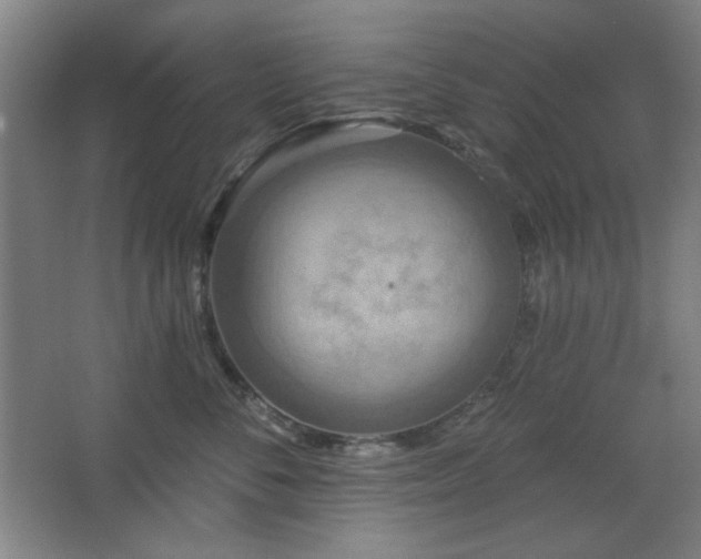 X0000068740716200604281139