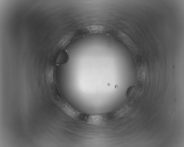 X0000068740717200604281139