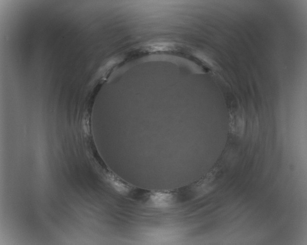 X0000068740718200604281139