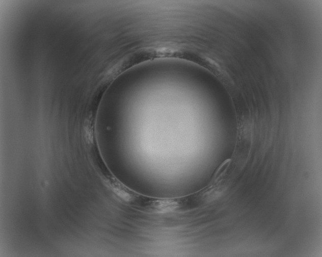 X0000068740719200604281139