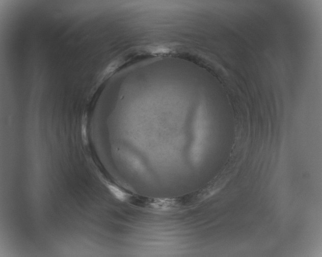 X0000068740720200604281139