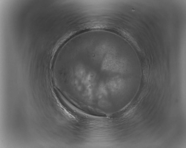 X0000068740721200604281139