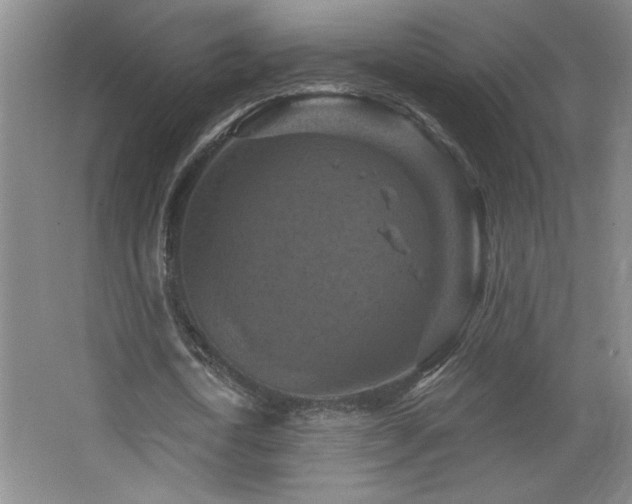 X0000068740722200604281139