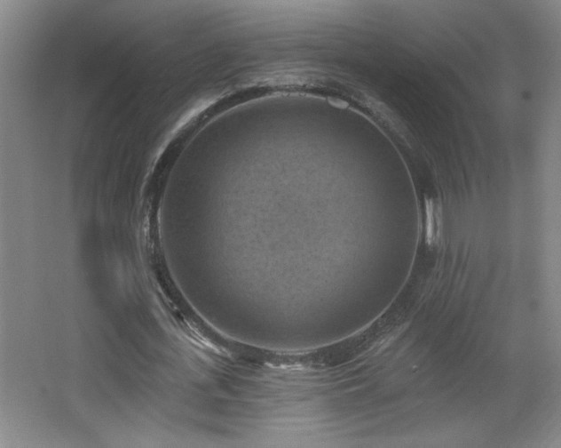 X0000068740723200604281139