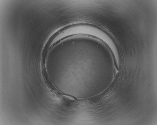 X0000068740724200604281139