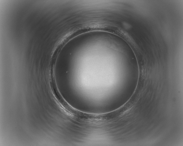 X0000068740725200604281139