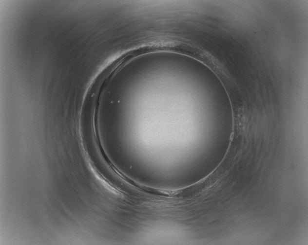 X0000068740726200604281139