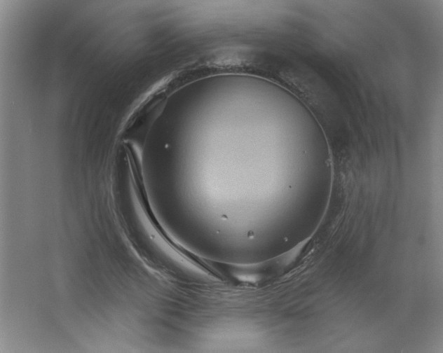 X0000068740728200604281139