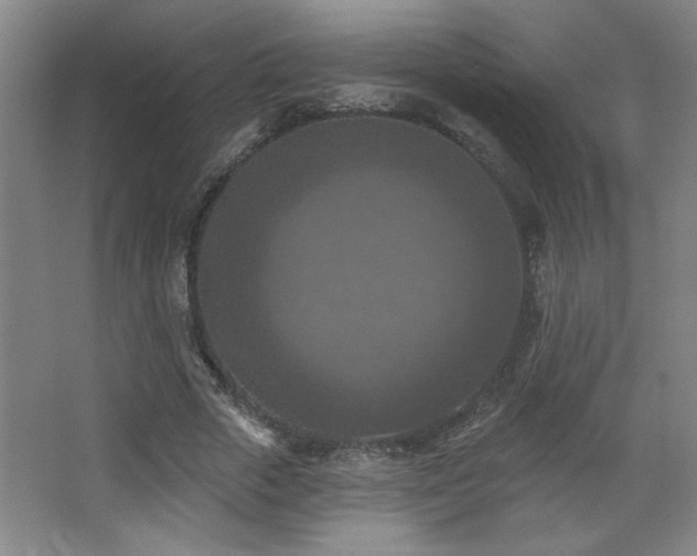 X0000068740729200604281139