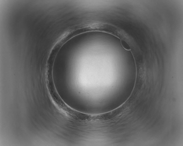 X0000068740730200604281139