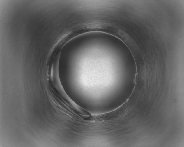 X0000068740731200604281139