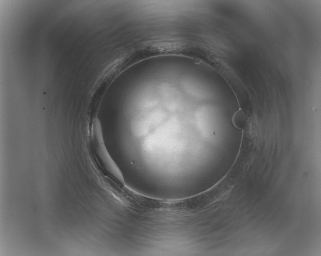 X0000068740733200604281139