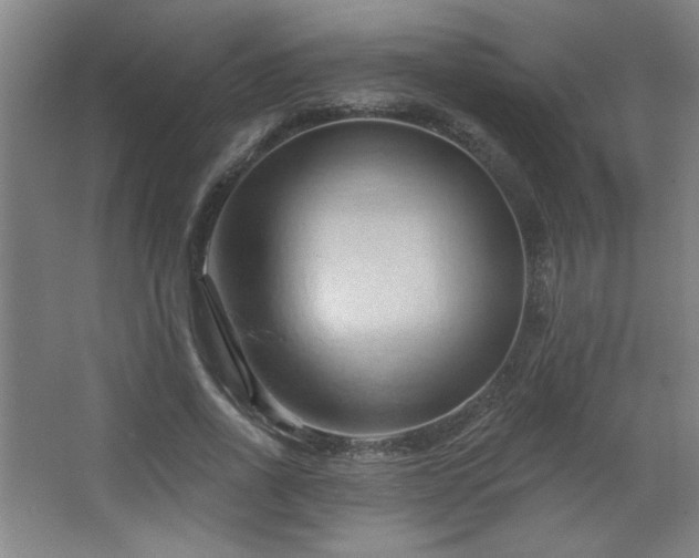 X0000068740734200604281139