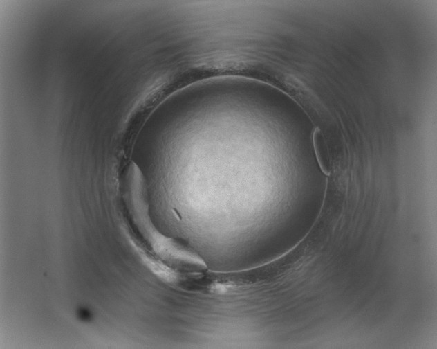 X0000068740735200604281139