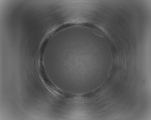 X0000068740736200604281139