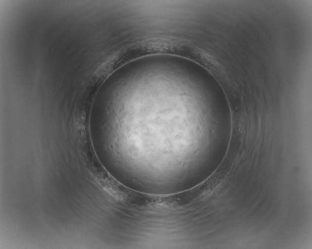 X0000068740737200604281139