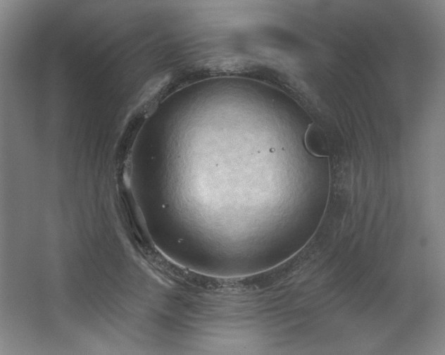 X0000068740738200604281139