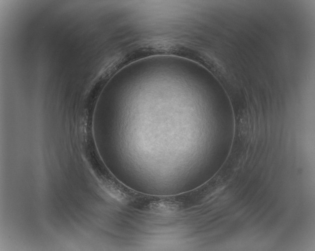 X0000068740739200604281139