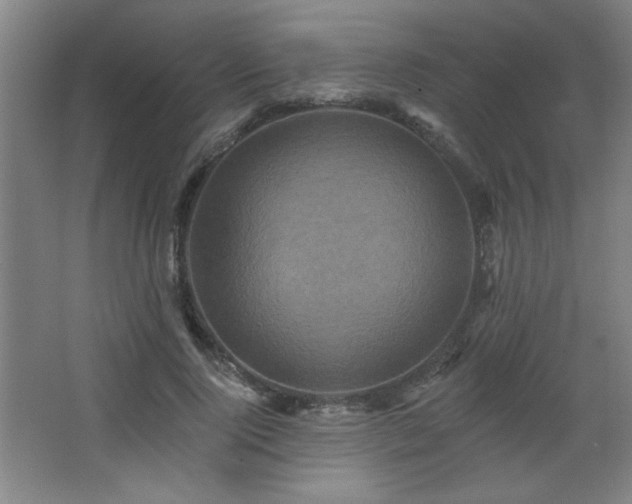 X0000068740740200604281139