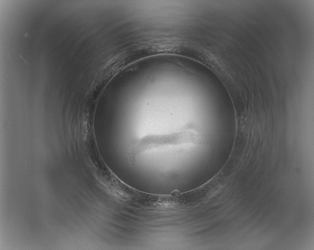 X0000068740741200604281139