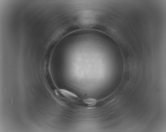 X0000068740742200604281139