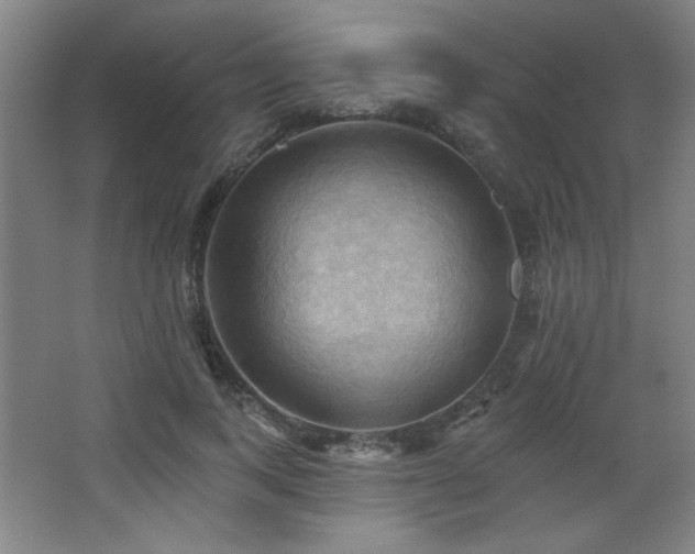 X0000068740743200604281139