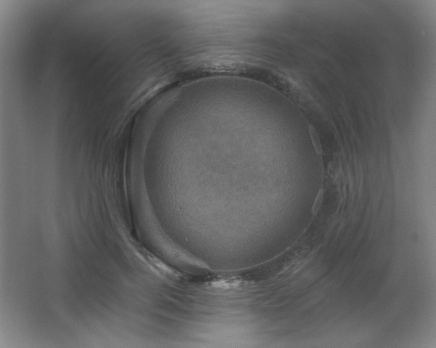 X0000068740744200604281139