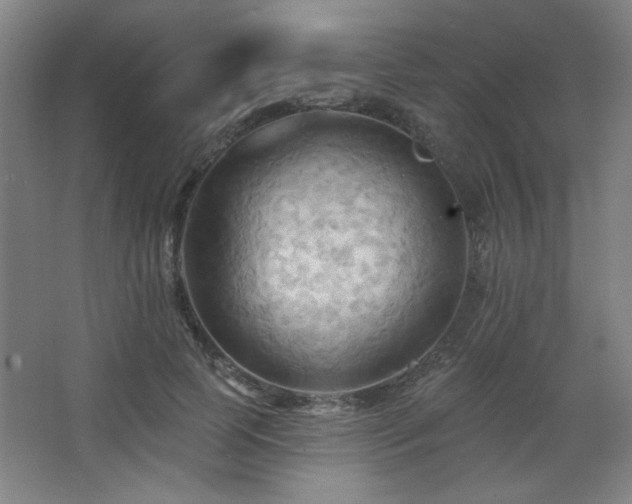 X0000068740745200604281139