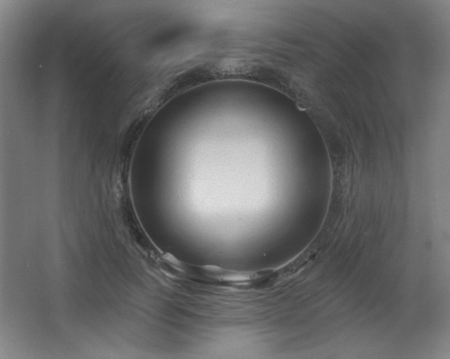 X0000068740746200604281139