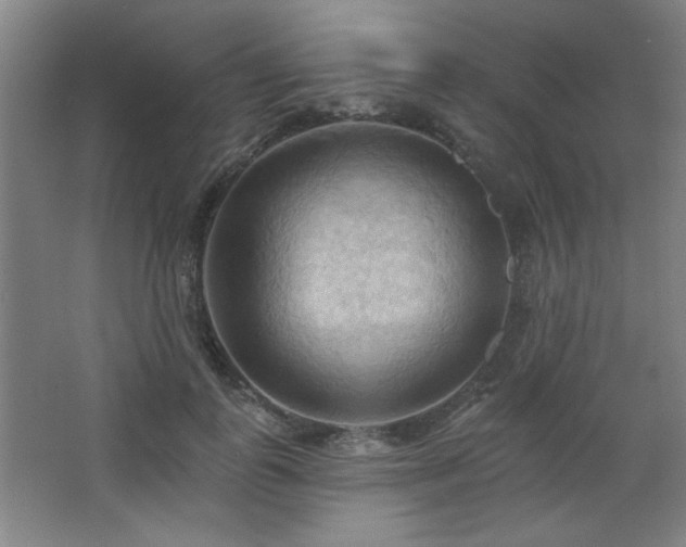 X0000068740747200604281139