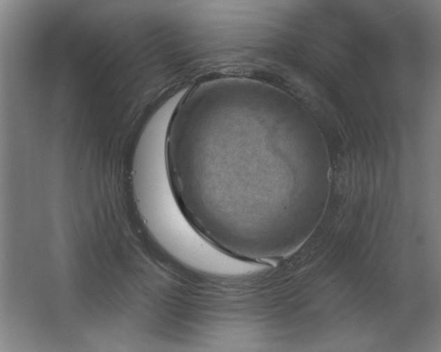 X0000068740748200604281139