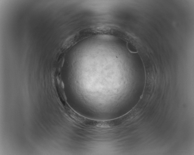 X0000068740749200604281139