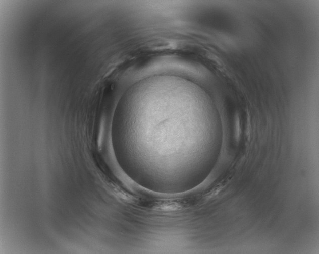 X0000068740750200604281139